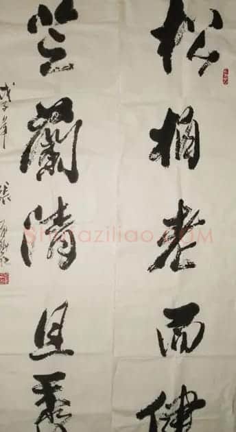 张有碧书法作品欣赏 | 毛笔书法作品