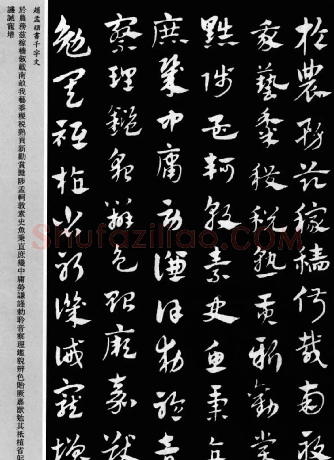赵孟頫书法章草千字文(附释文)图片17P | 软笔草书字帖