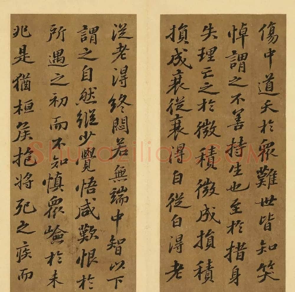 苏轼行书养生论真迹册 | 软笔书法作品