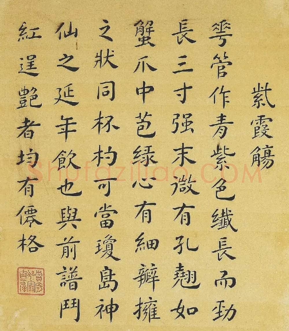 清代书法家湛畗书《菊谱》册页 | 传世书法作品精选