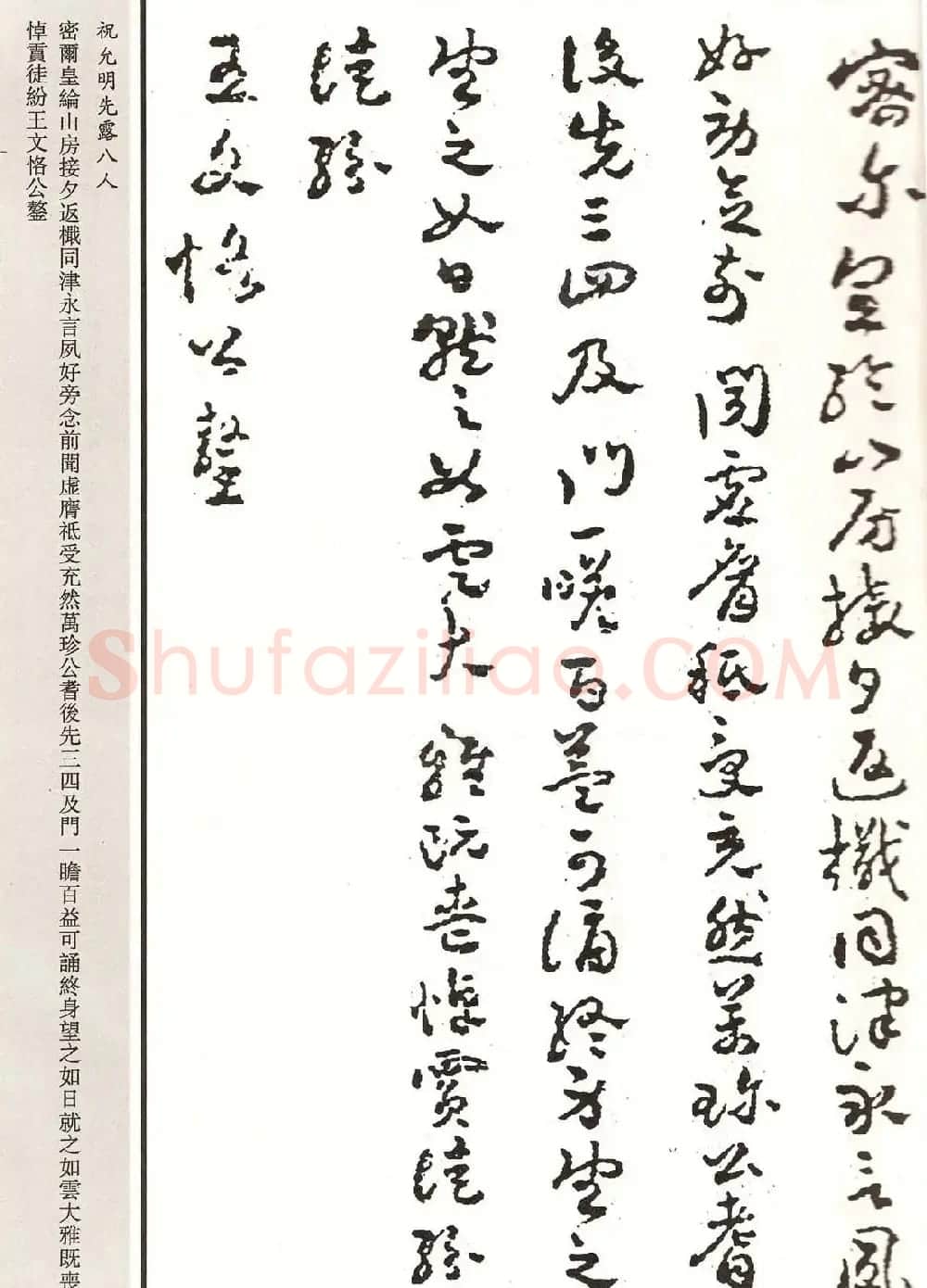 祝允明章草书法作品欣赏《先露八人》 | 名家书法作品赏析