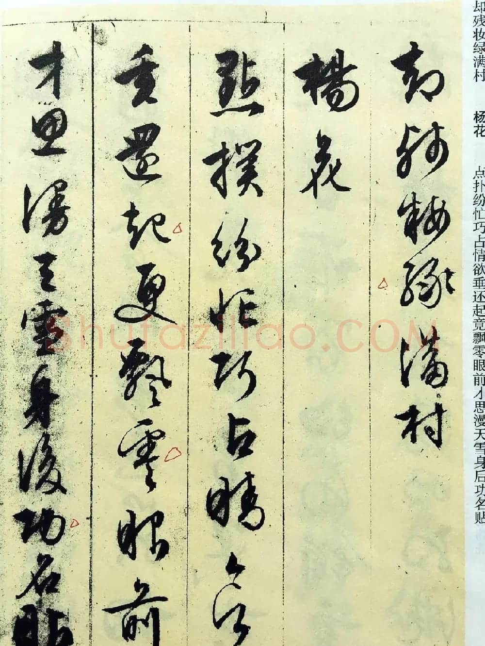 文徵明89岁墨宝《文征明书杂花诗十二首》 | 名家书法作品赏析