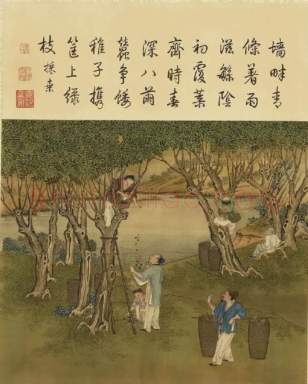 清代宫廷画师陈枚彩绘本《耕织图》 | 传世书法作品欣赏