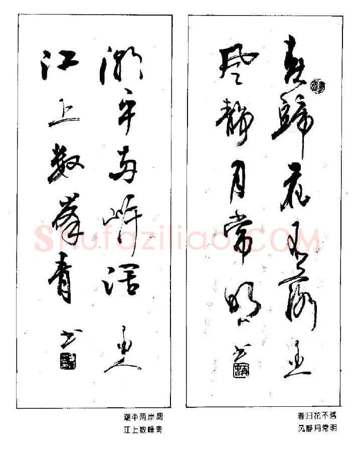 杨再春书法作品五言对联 | 名家书法作品赏析