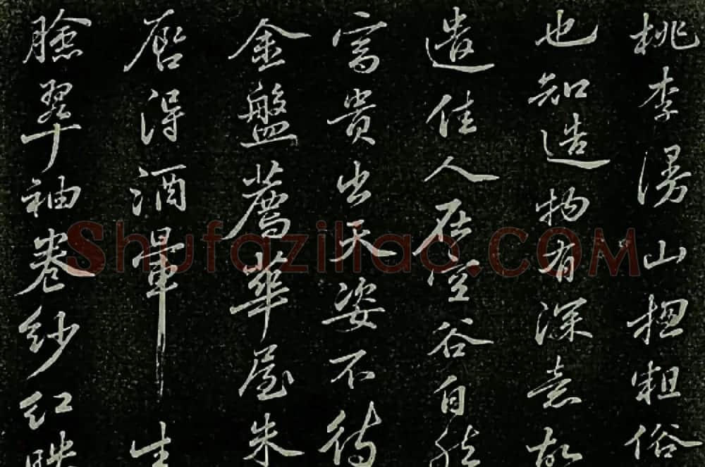 苏东坡书法欣赏《定慧院海棠诗》 | 毛笔书法作品