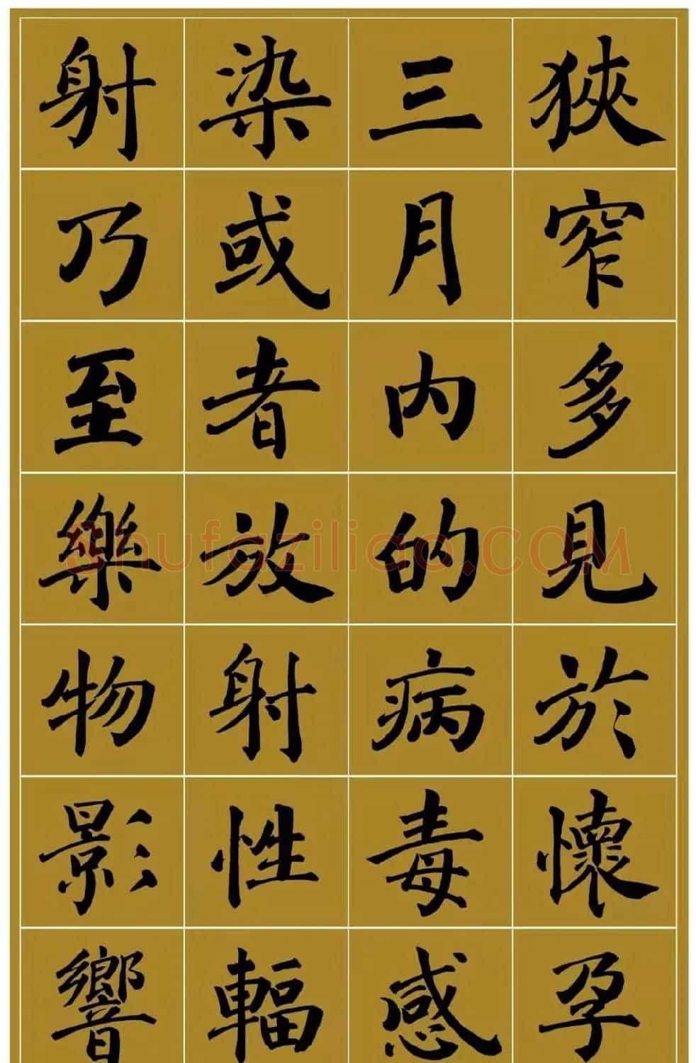 范笑歌楷书《中国少儿先心病基金宣讲辞》 | 书法作品赏析