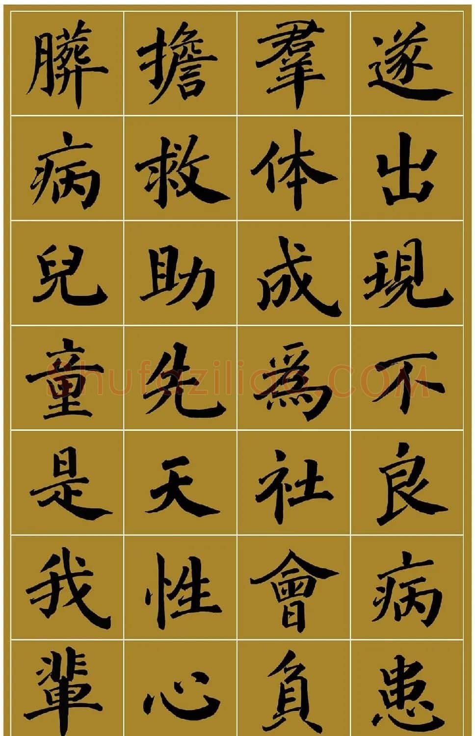 范笑歌楷书《中国少儿先心病基金宣讲辞》 | 书法作品赏析
