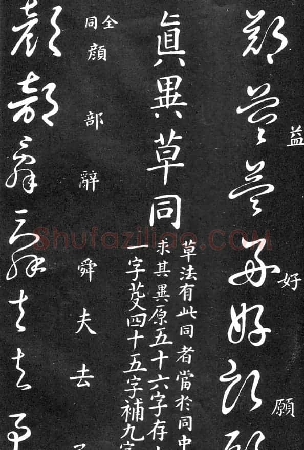 王羲之家藏原本《草书要领》 | 软笔草书字帖