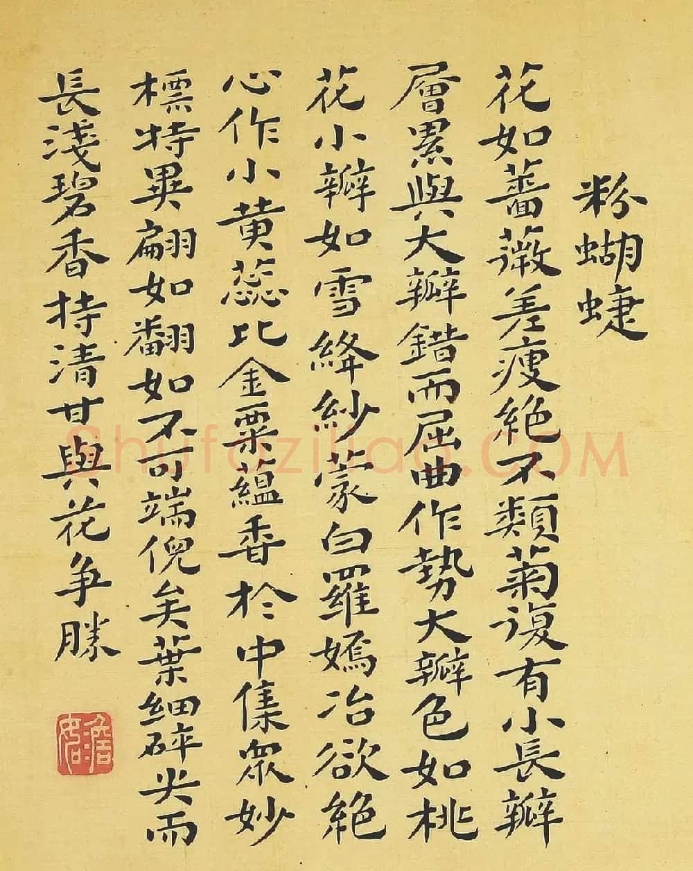 清代书法家湛畗书《菊谱》册页 | 传世书法作品精选