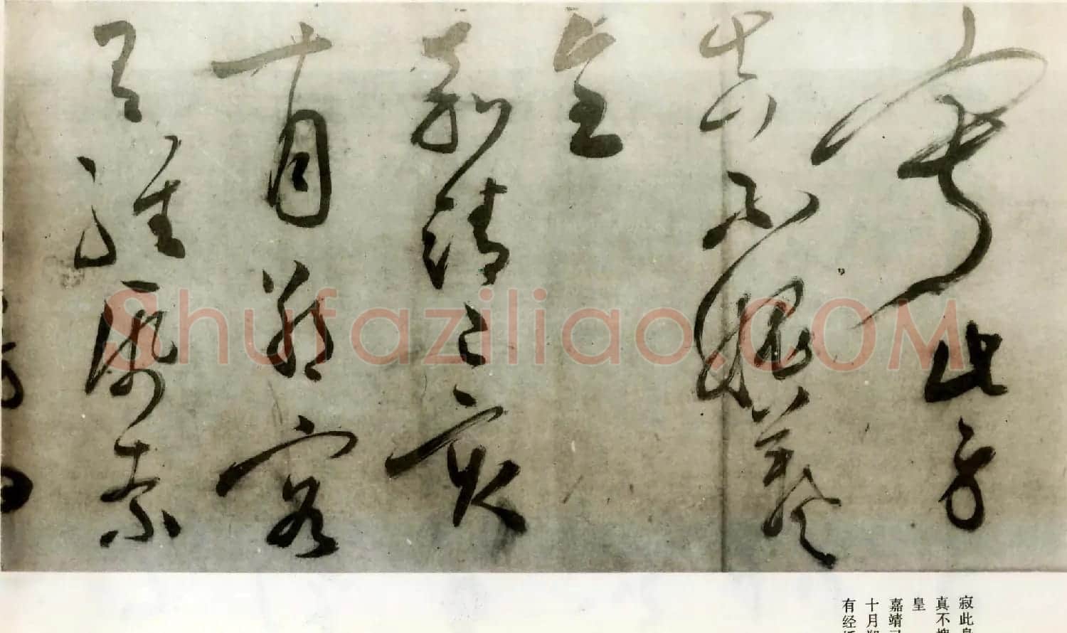 文徵明草书诗卷赏析《七律诗三首》 | 书法长卷