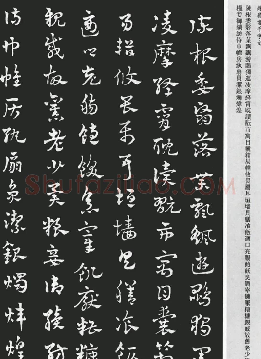 赵雍书法《章草千字文》大图欣赏 | 毛笔草书字帖