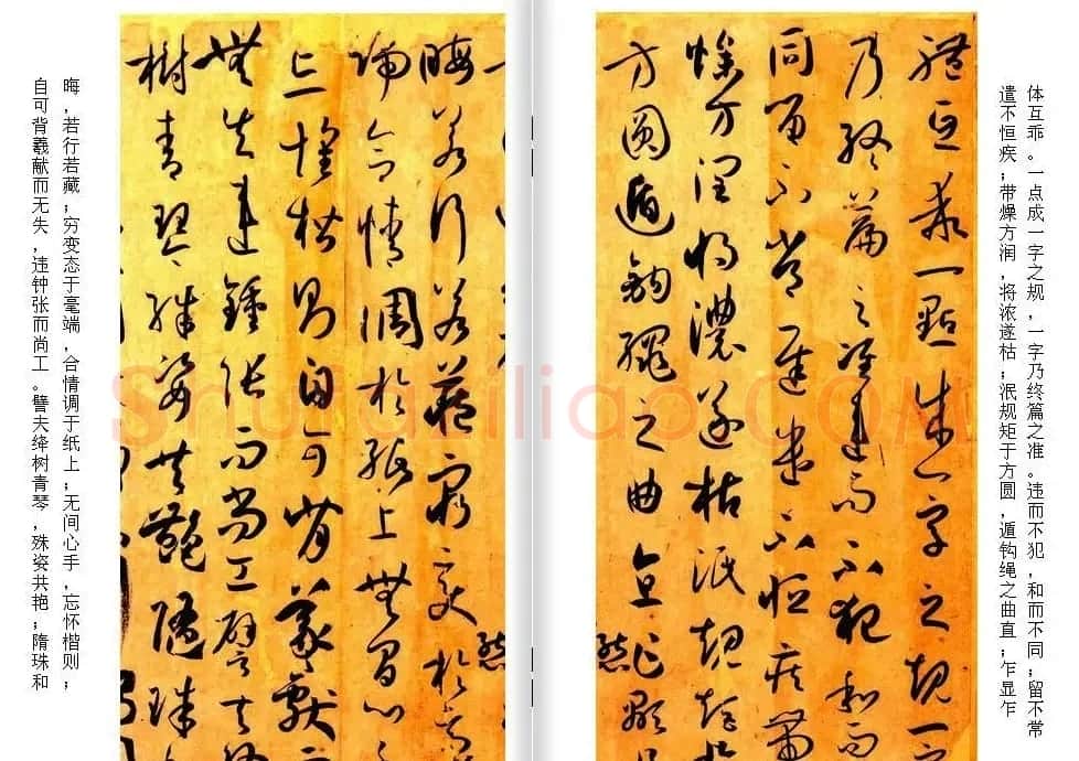 高清草书范本 孙过庭《书谱》全文今译 | 软笔草书字帖
