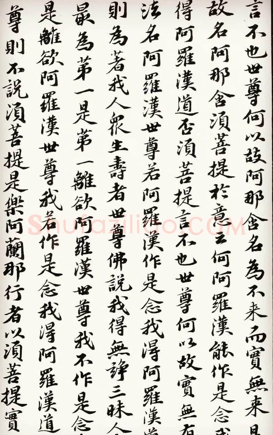 苏轼行楷书法欣赏《金刚经》全本 | 毛笔书法作品