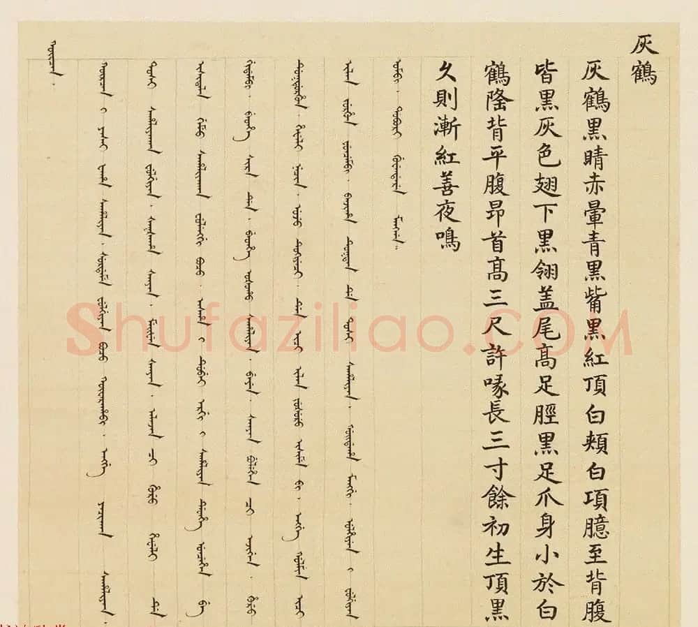 汉文满文字画欣赏《清人鸟谱册》 | 传世书法作品欣赏