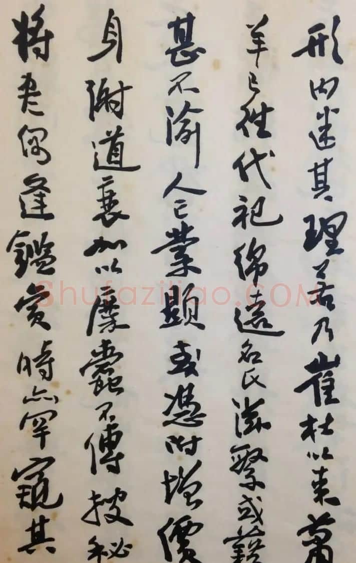 费新我书法册页欣赏《书谱》 | 书法作品欣赏