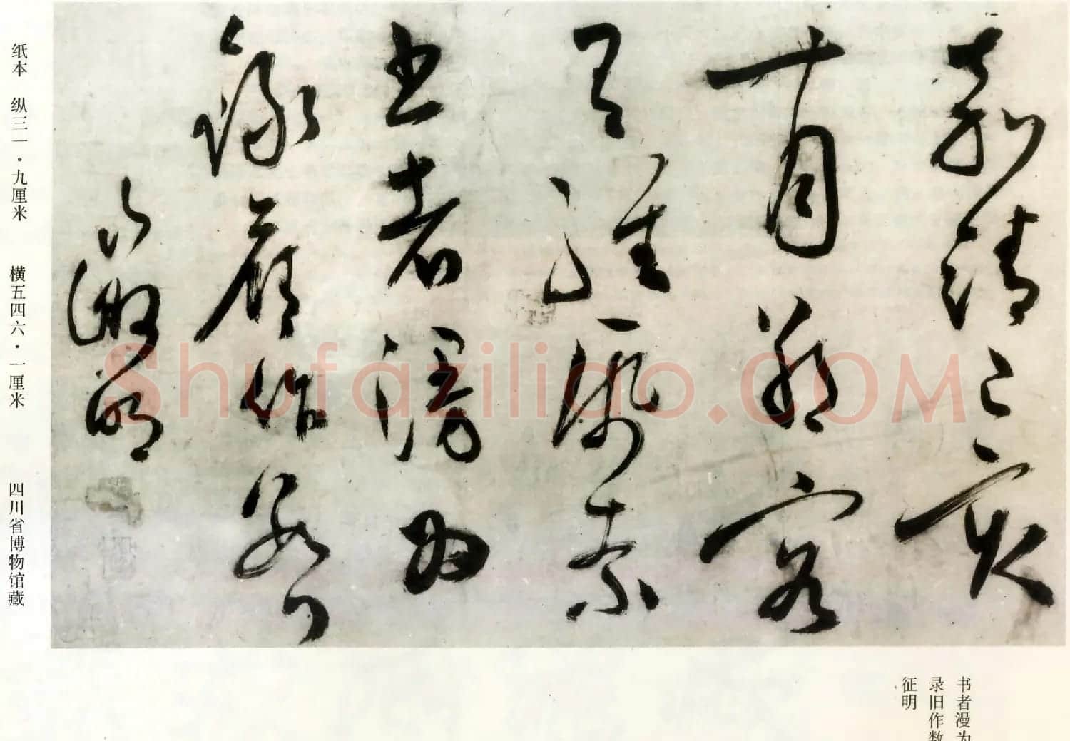 文徵明草书诗卷赏析《七律诗三首》 | 书法长卷