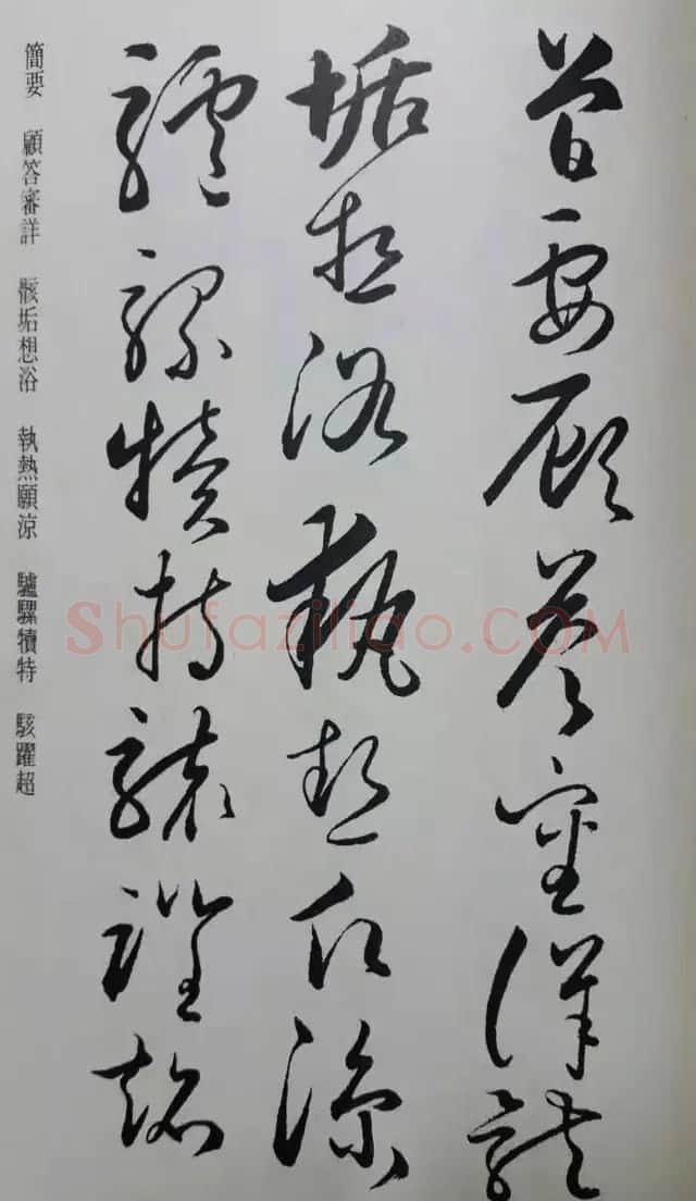 罕见的怀素草书《千字文》净云枝藏帖 | 软笔草书字帖