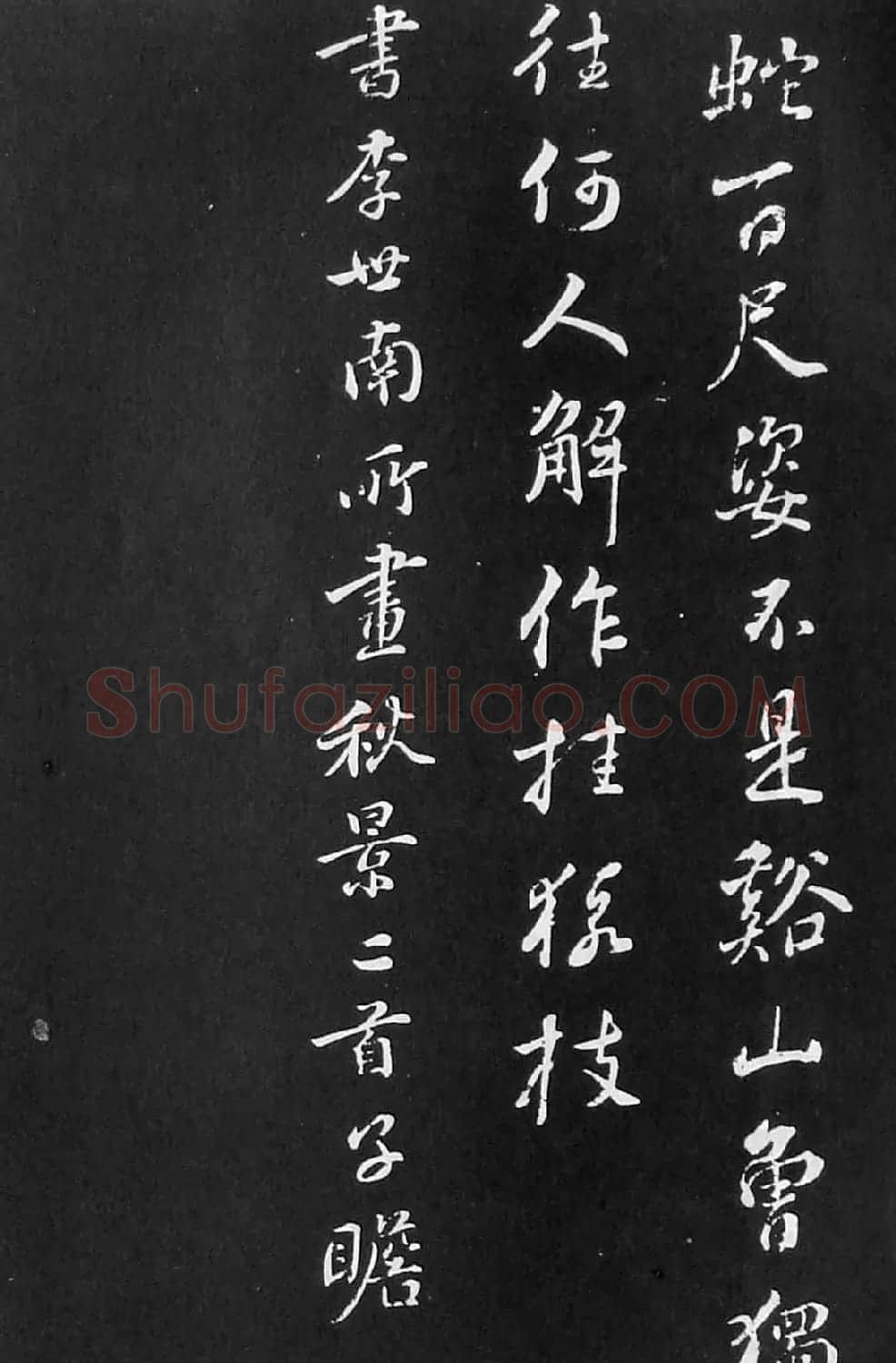 苏轼书法《李世南所画秋景二首》 | 软笔书法作品