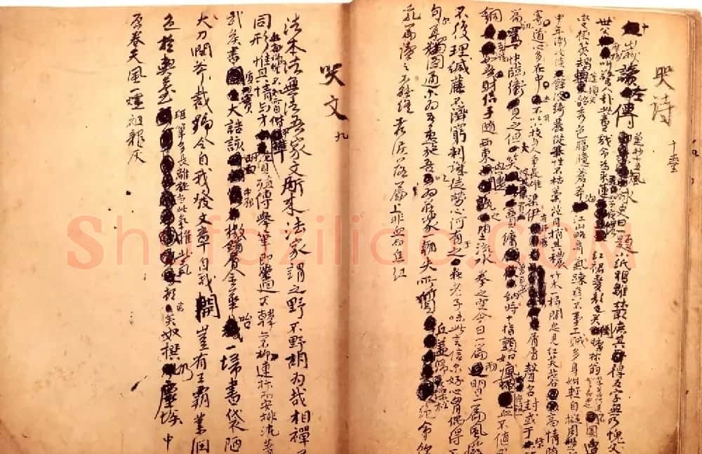 傅山书法墨宝真迹《哭子诗》册 | 书法名家作品欣赏