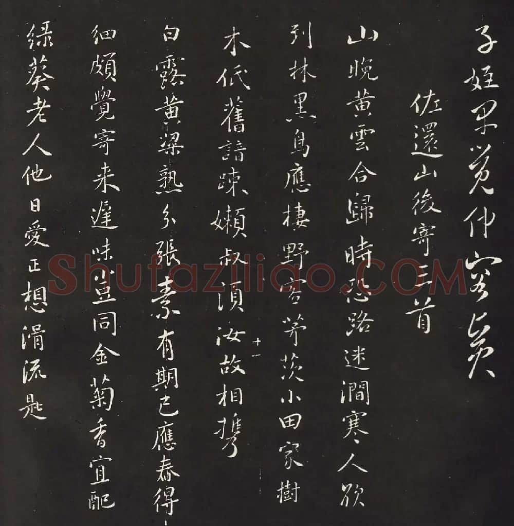 宋琬集二王书法《二妙轩碑》杜诗石刻 | 书法名家作品欣赏