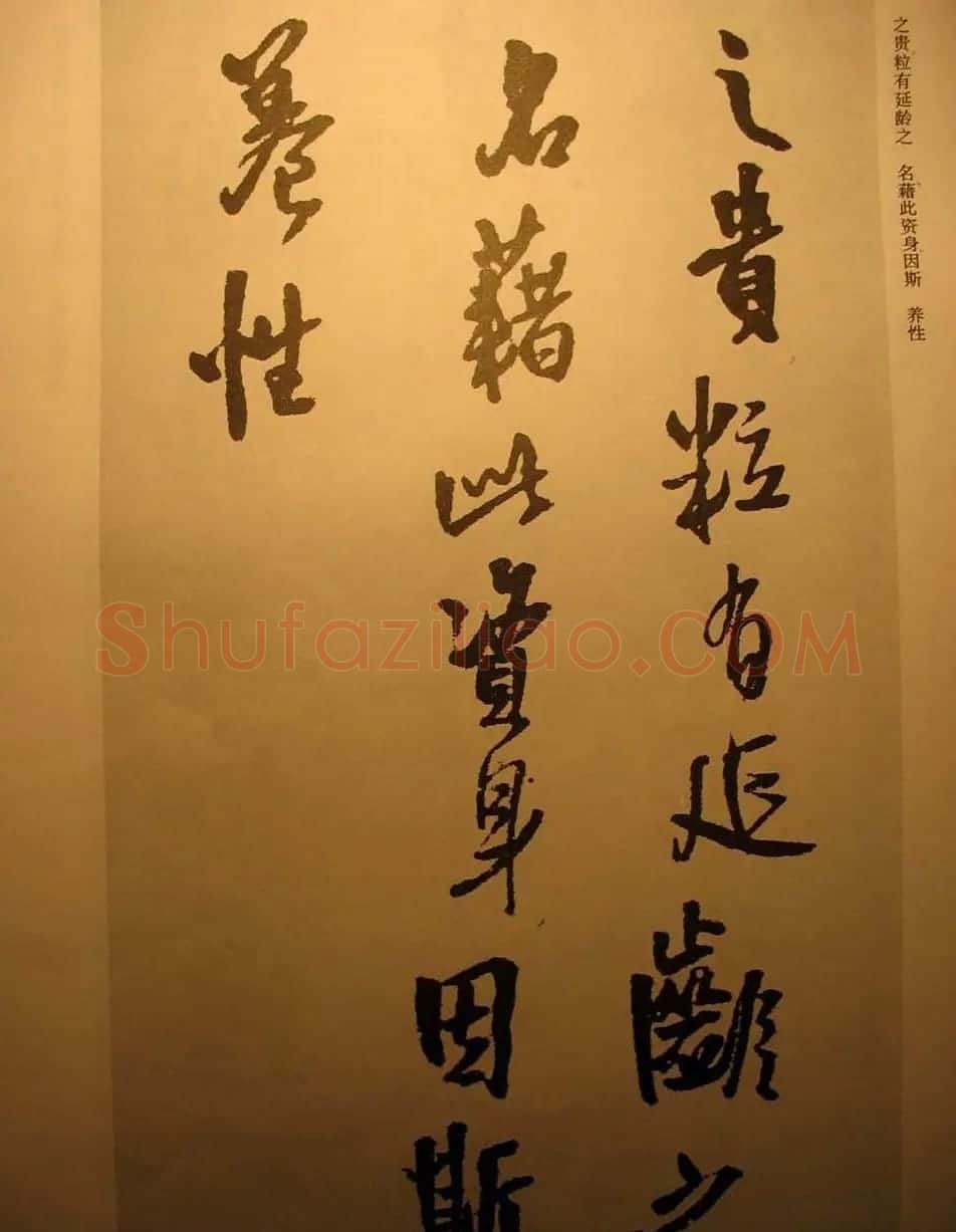 王铎行书欣赏《梁简文帝萧纲骈文摘句》 | 书法作品鉴赏