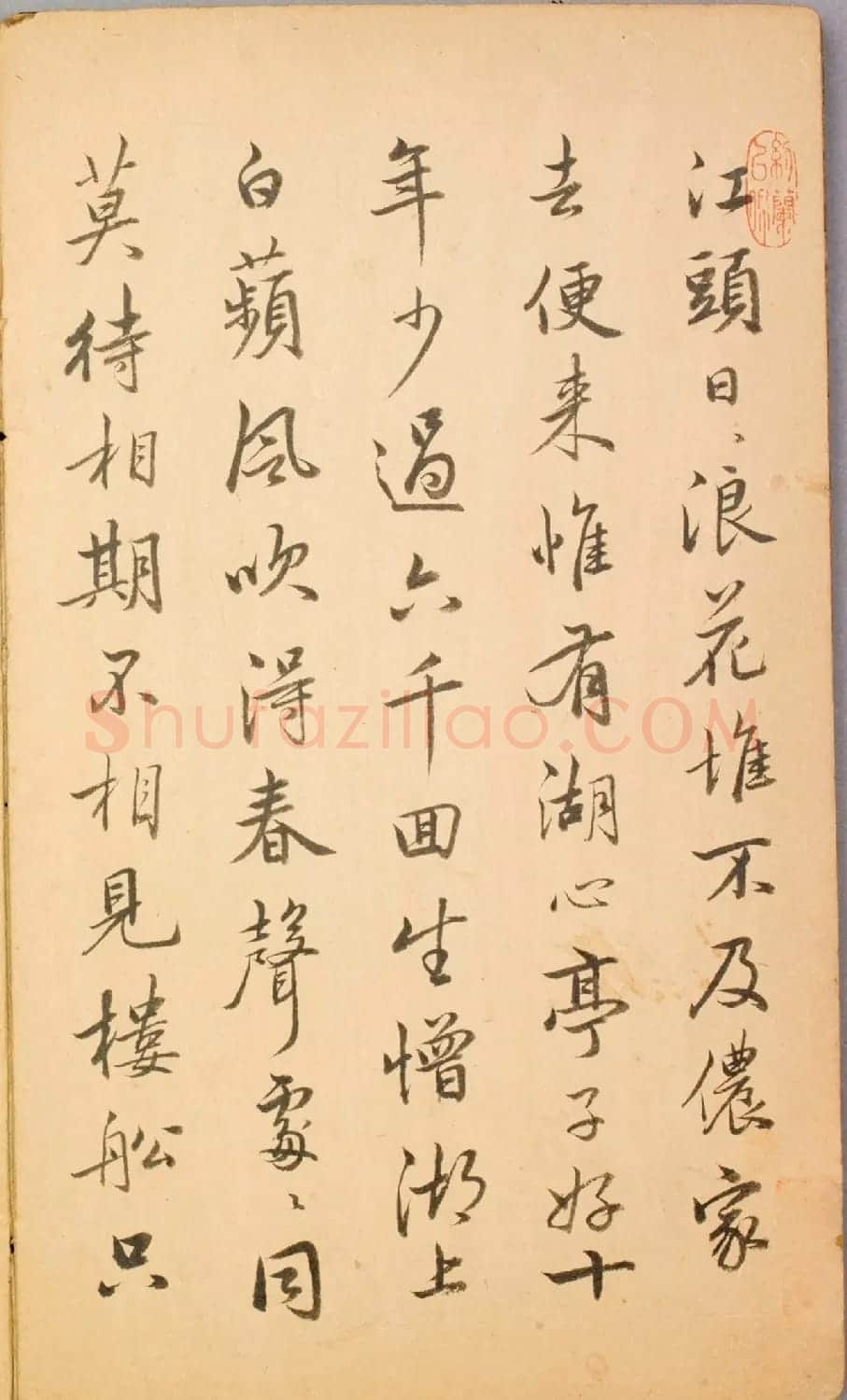清代毛辉祖等11人书法册页 | 书法作品鉴赏