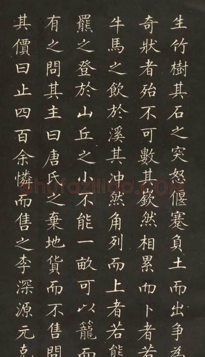 姜东舒小楷字帖欣赏《永州八记》 | 软笔楷书字帖