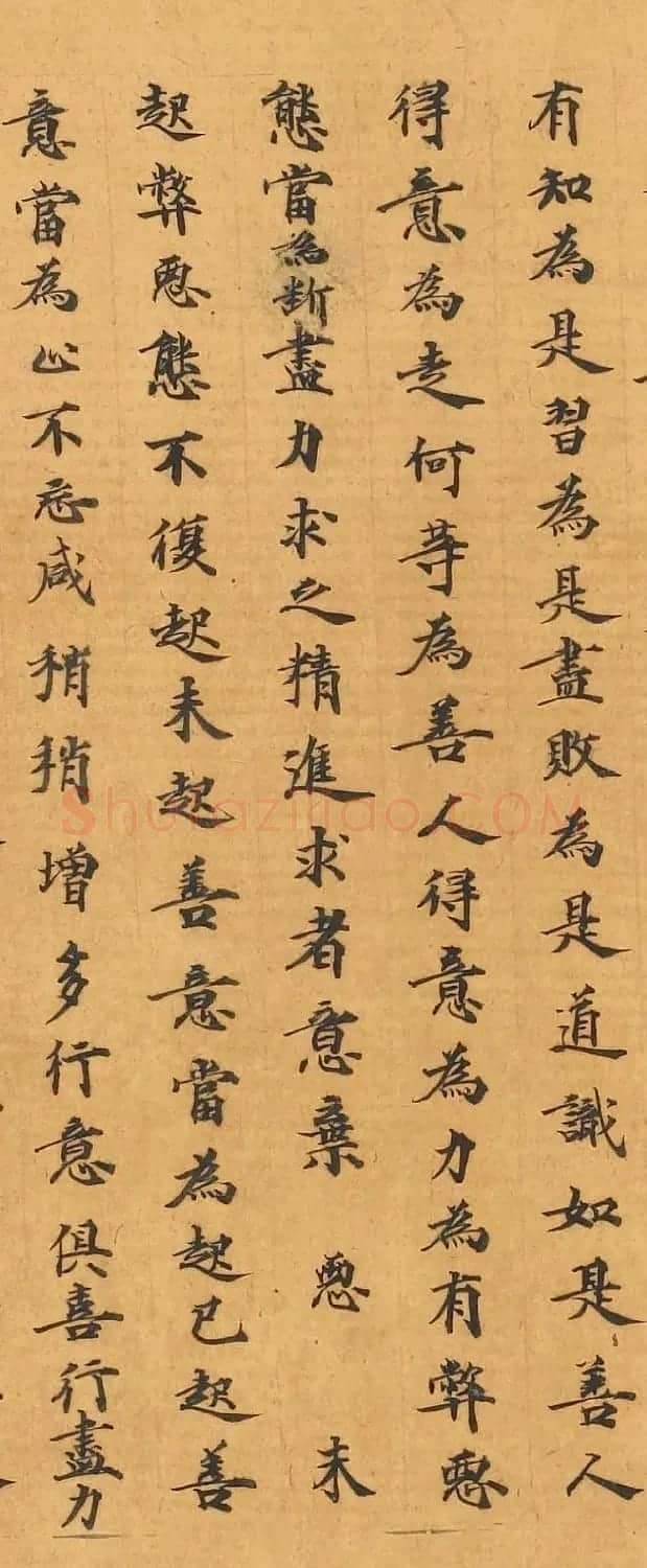 敦煌写经手稿《佛说马有三相经》 | 敦煌写经鉴赏