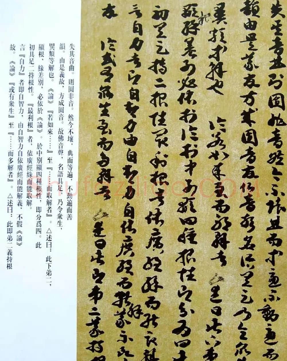 敦煌写经章草大乘起信论略述残卷 | 敦煌写经鉴赏