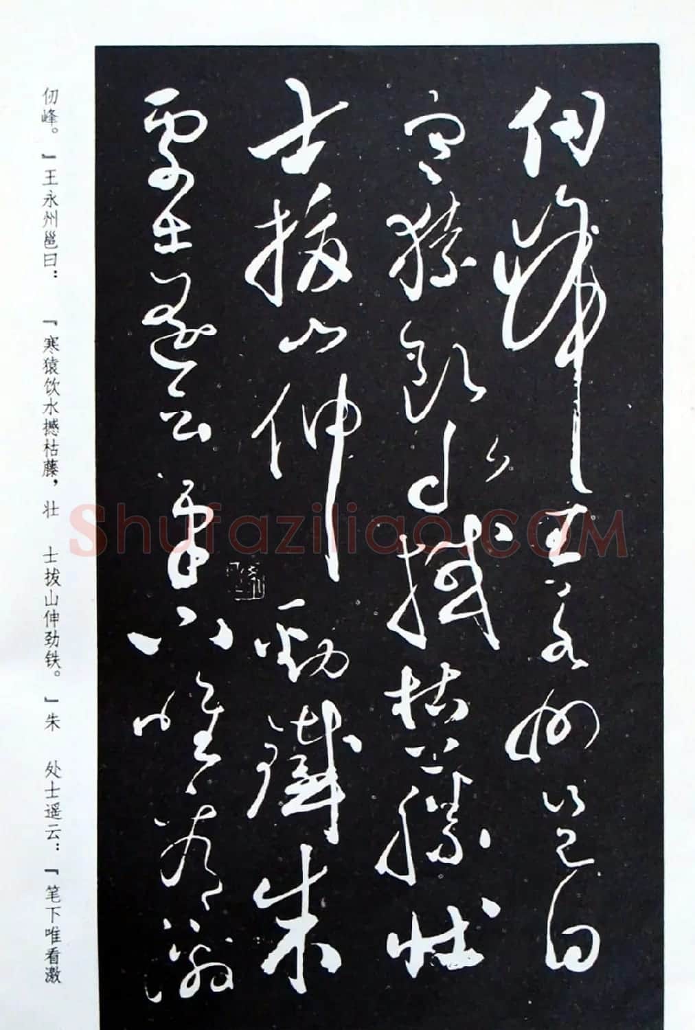 《怀素草书自叙帖》蜀中石氏藏本 | 毛笔草书字帖