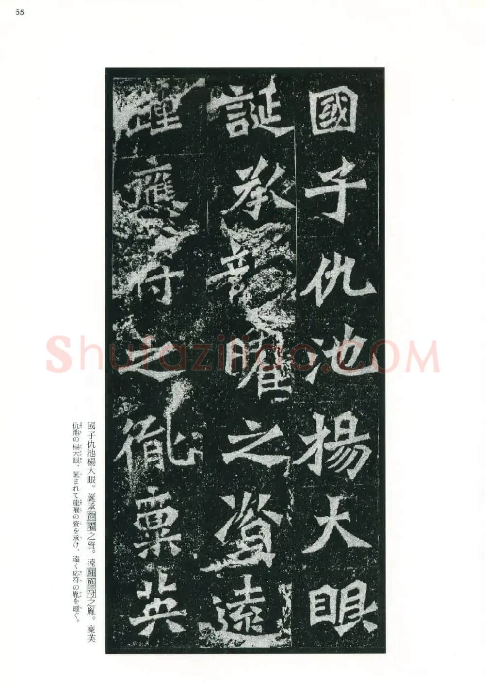 魏碑书法精品《龙门二十品》上册二玄社高清版 | 书法碑帖