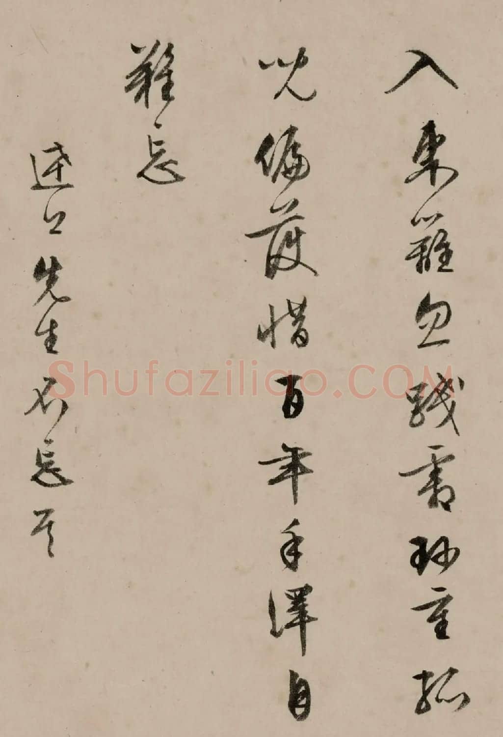 文徵明(款)存菊图并赋诗 | 传世书法作品欣赏