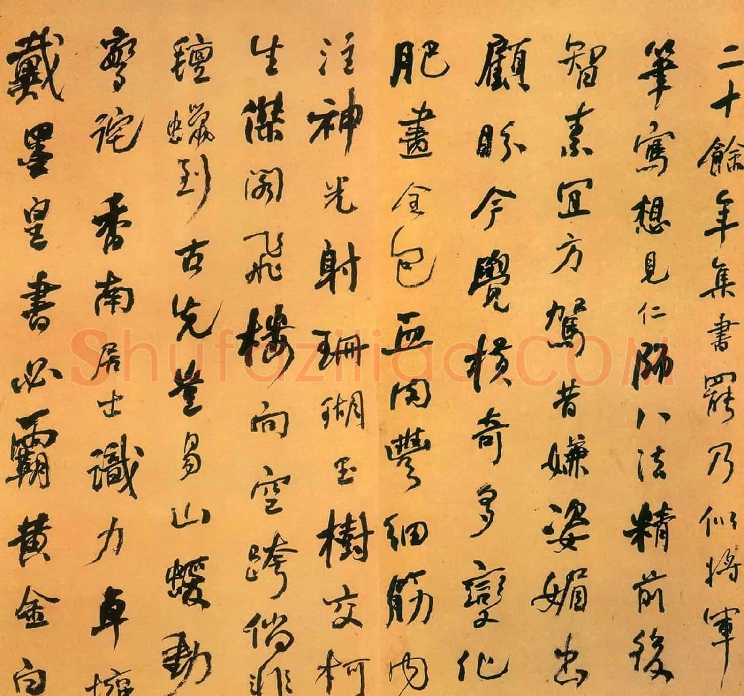 何绍基行书作品《跋墨皇本圣教序》 | 名家书法作品赏析