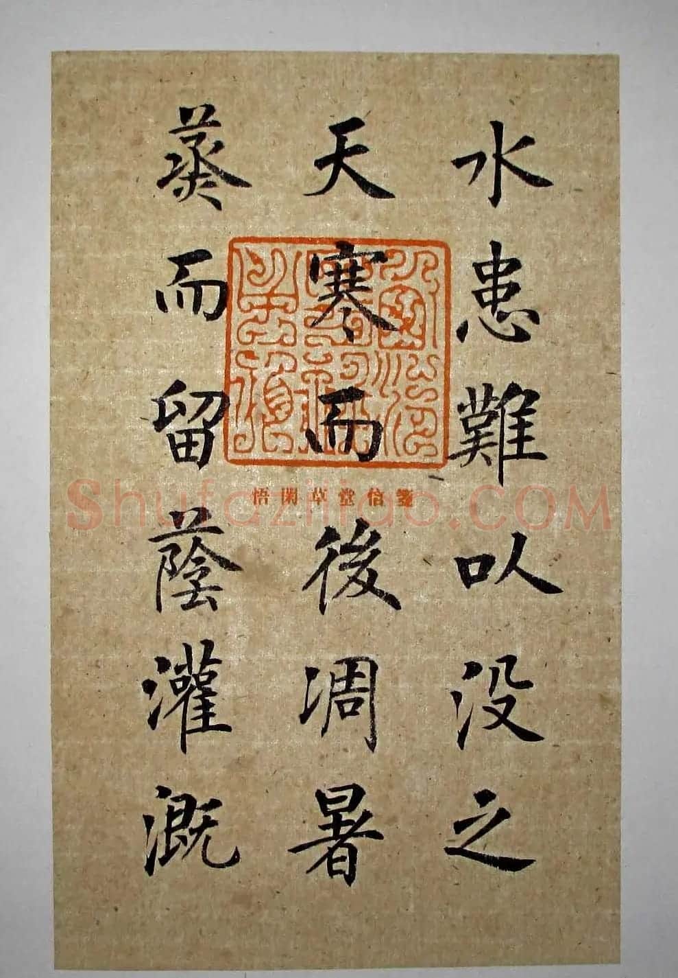 杨华书法楷书册页《松赋》 | 书法名家作品鉴赏