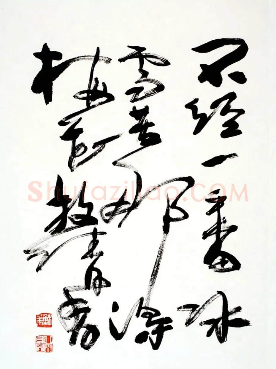 女书画家苏华行草书法作品17幅 | 书法作品鉴赏