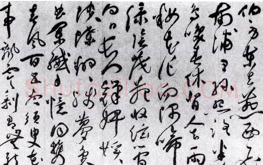 祝允明草书欣赏《唐寅落花诗八首》 | 书法名家作品欣赏