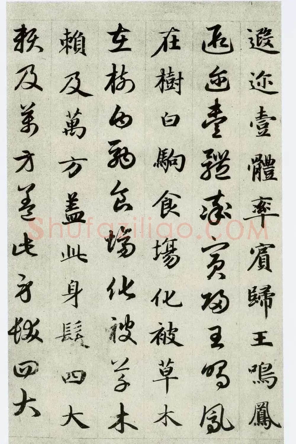 中国碑帖经典《赵孟頫真草千字文》 | 书法名家作品欣赏