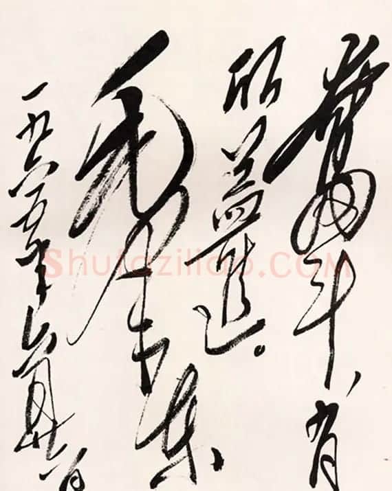 毛泽东手书信札墨迹欣赏 | 书法名家作品欣赏