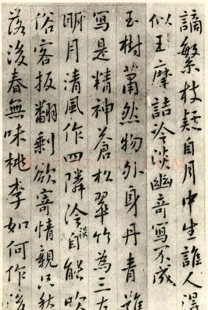明清志士仁人傅山行书集古梅花诗 | 书法名家作品鉴赏