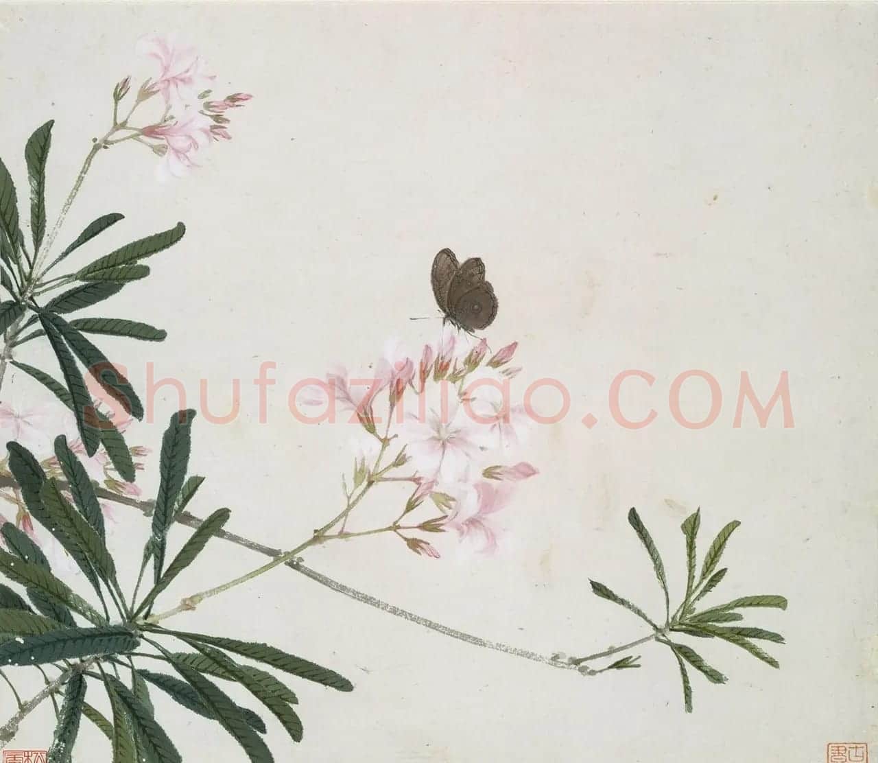 清代居廉花卉虫草册页八开 | 传世书法作品欣赏