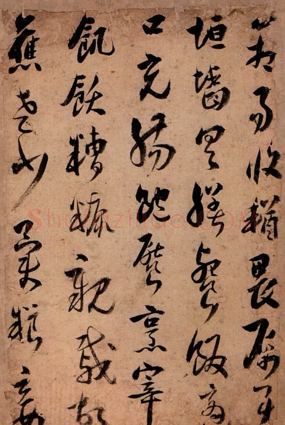 王应华草书欣赏《千字文册》 | 毛笔草书字帖
