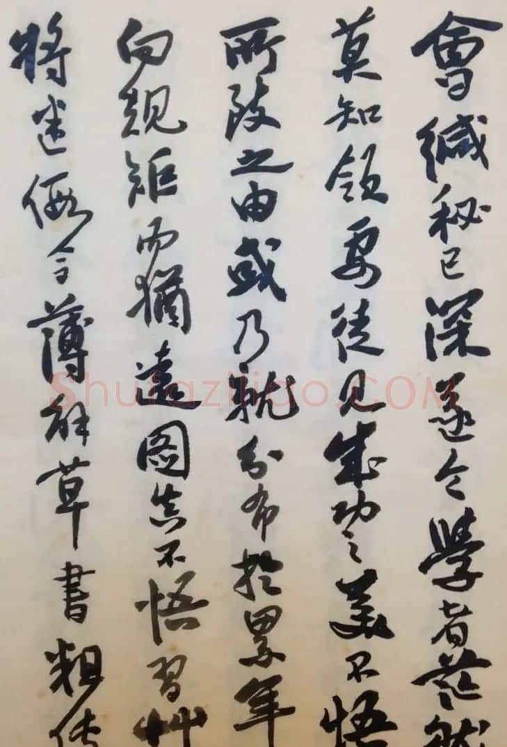 费新我书法册页欣赏《书谱》 | 书法作品欣赏