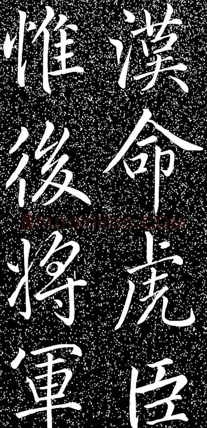 赵孟頫大字楷书《雅宣帖》精拓 | 软笔楷书字帖