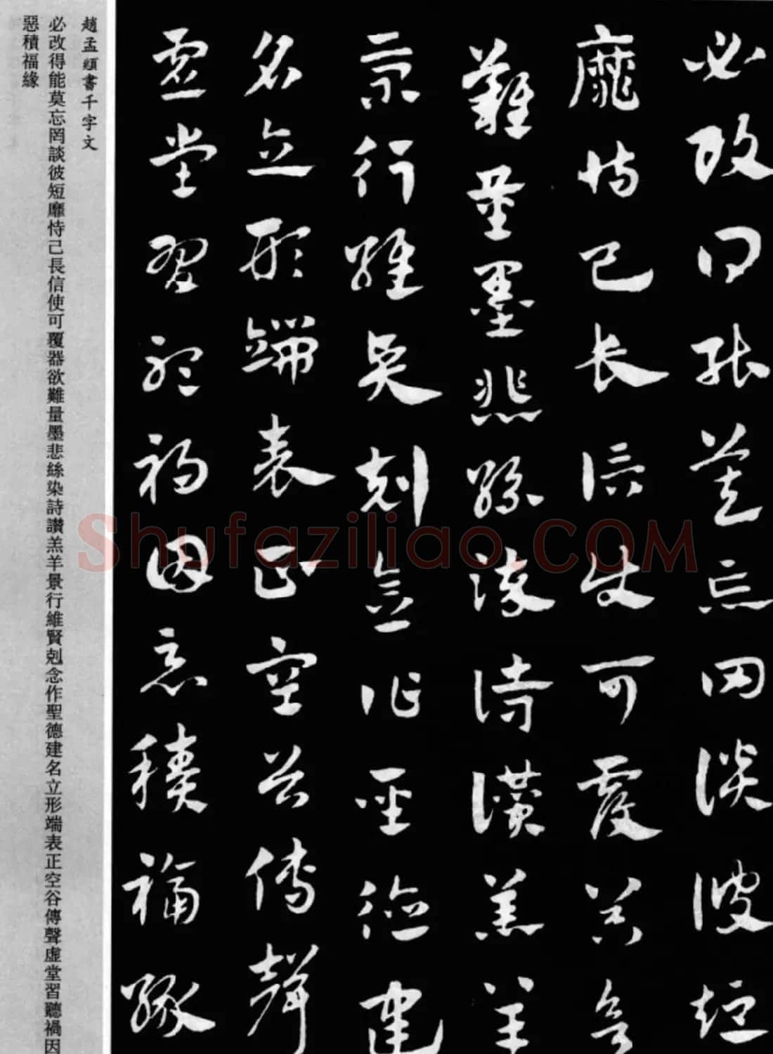 赵孟頫书法章草千字文(附释文)图片17P | 软笔草书字帖