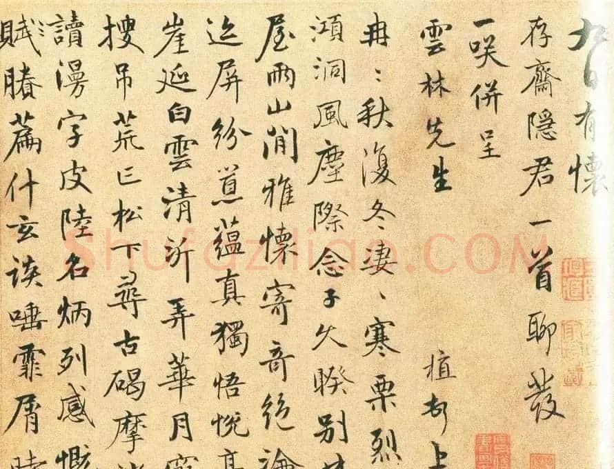 陈植行书墨迹赏析《怀存斋隐君诗帖》 | 书法作品欣赏