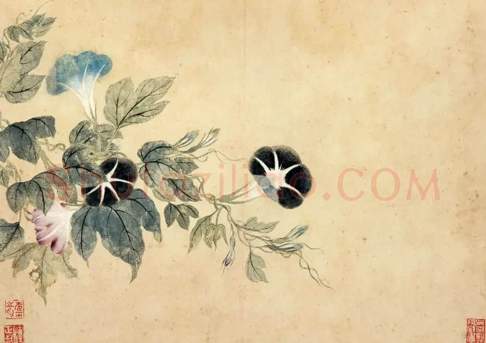 清代恽寿平书法字画花卉八开 | 传世书法作品赏析