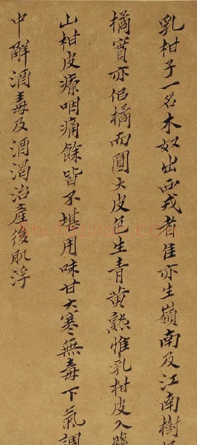周淑禧、周淑祜两姐妹小楷《本草图》四条屏 | 传世书法作品精选