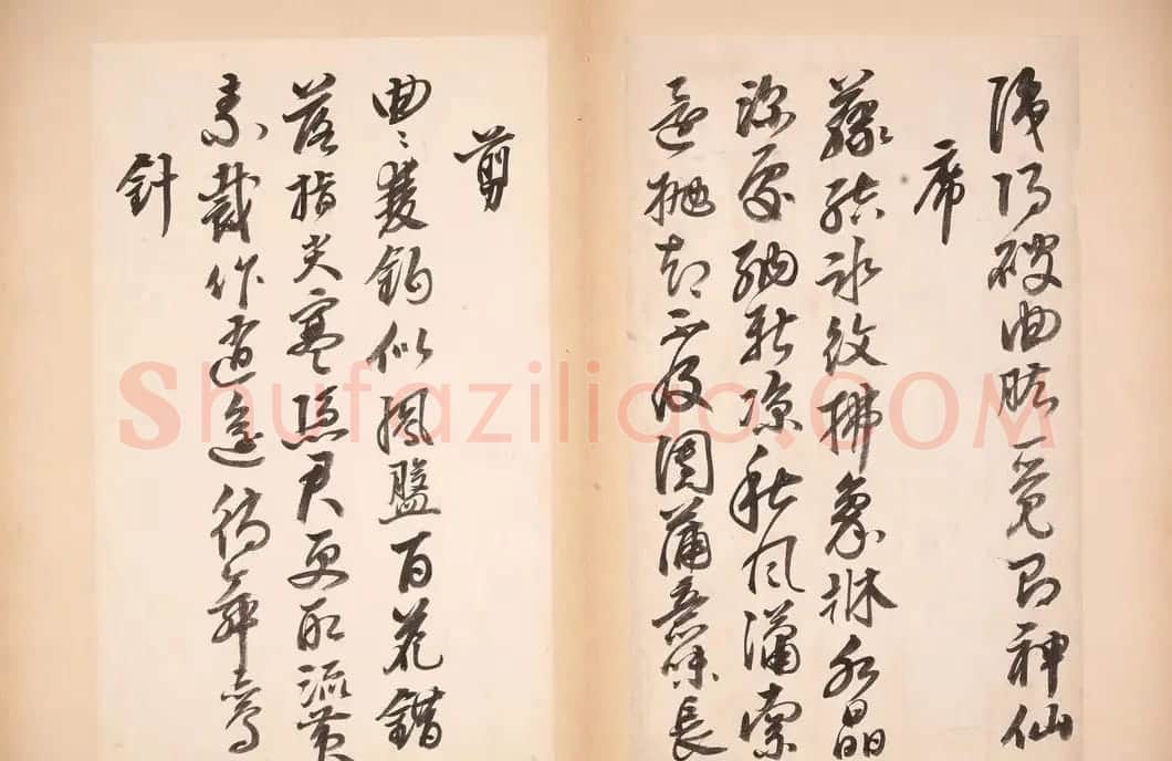 明代女书画家邢慈静草书欣赏 | 名家书法作品赏析
