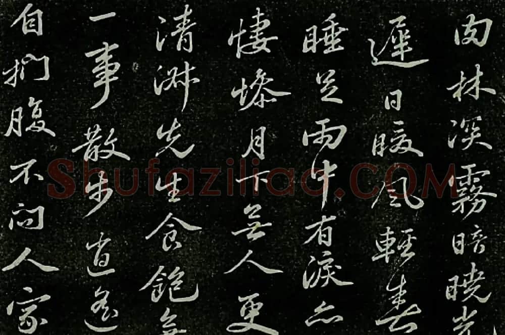 苏东坡书法欣赏《定慧院海棠诗》 | 毛笔书法作品