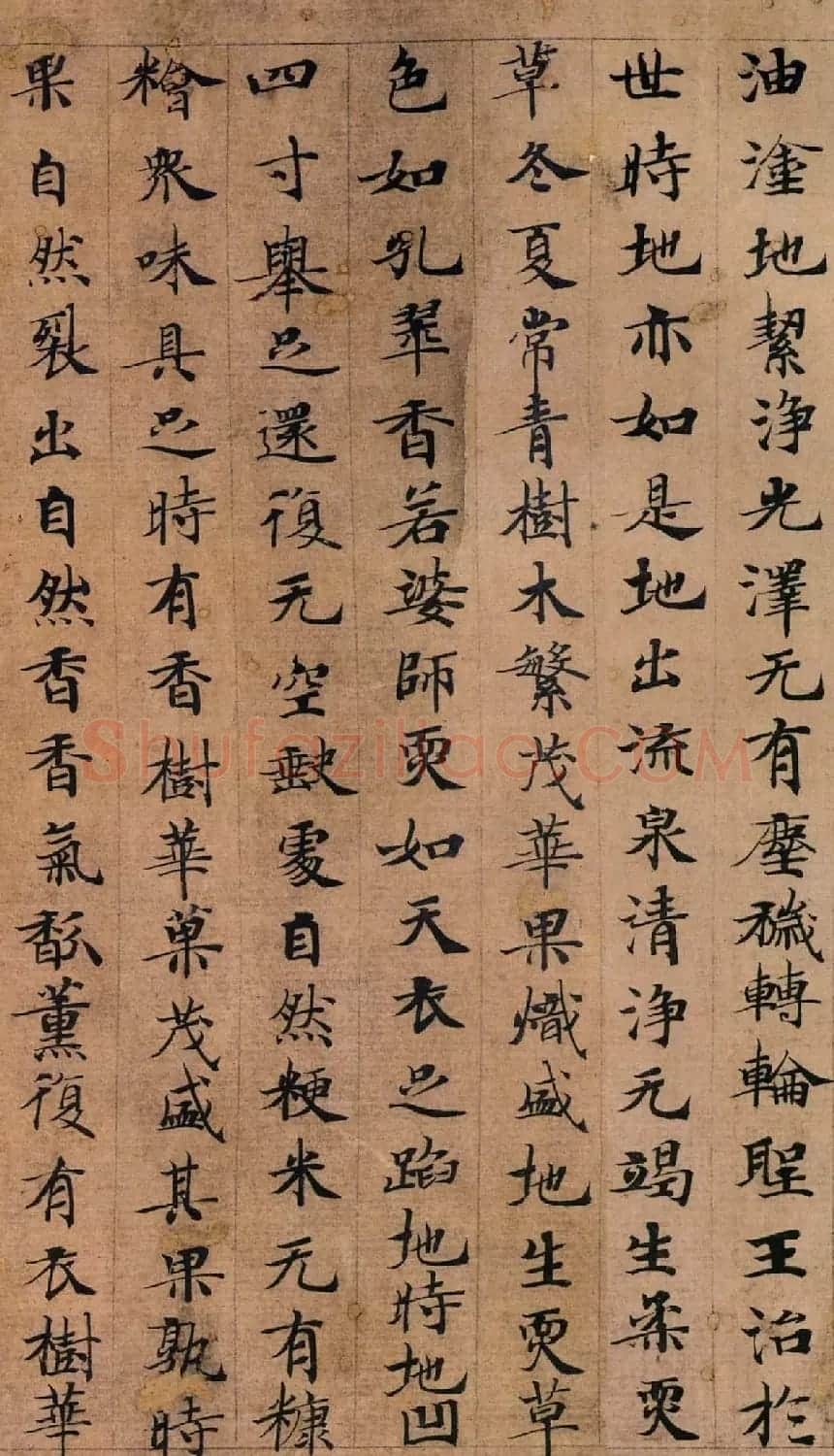 唐代钟绍京楷书墨迹《转轮圣王经》 | 书法碑帖